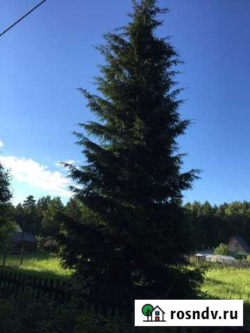 Участок СНТ, ДНП 10 сот. на продажу в Кетово Кетово - изображение 1