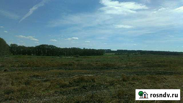 Участок СНТ, ДНП 440 сот. на продажу в Ждановском Ждановский - изображение 1