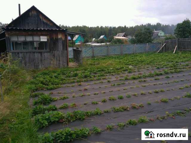 Дача 25 м² на участке 6 сот. на продажу в Байкальске Байкальск - изображение 1