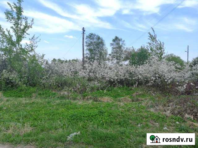 Участок ИЖС 6 сот. на продажу в Родниках Ивановской области Родники - изображение 1