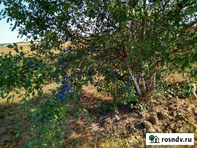 Участок СНТ, ДНП 9 сот. на продажу в Пестрецах Пестрецы - изображение 1