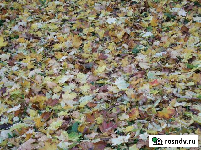 Участок СНТ, ДНП 7 сот. на продажу в Гурьевске Калининградской области Гурьевск - изображение 1