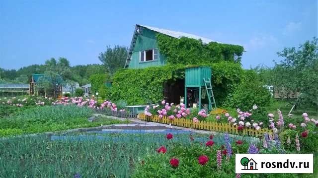 Дача 73 м² на участке 16 сот. на продажу в Каменске-Уральском Каменск-Уральский - изображение 1