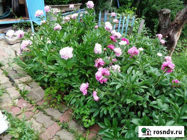 Дача 30 м² на участке 5 сот. на продажу в Северном Белгородской области Северный - изображение 1