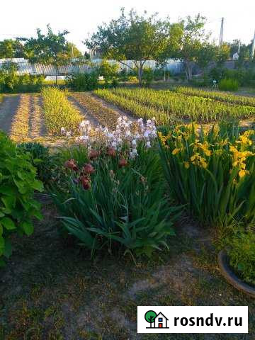 Участок СНТ, ДНП 12 сот. на продажу в Звенигороде Звенигород - изображение 1