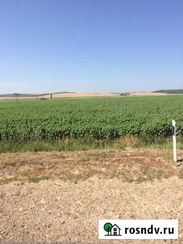 Участок СНТ, ДНП 4000 сот. на продажу в Киевском Краснодарского края Киевское - изображение 1