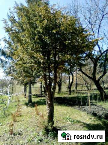 Дом 200 м² на участке 70 сот. на продажу в Упорной Упорная - изображение 1