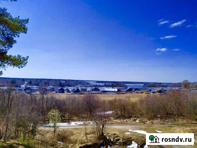 Участок СНТ, ДНП 20 сот. на продажу в Пряже Пряжа - изображение 1