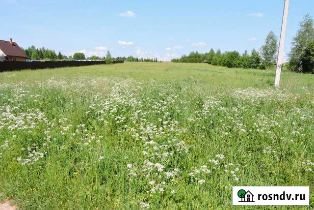 Участок ИЖС 25 сот. на продажу в Балакирево Балакирево - изображение 1