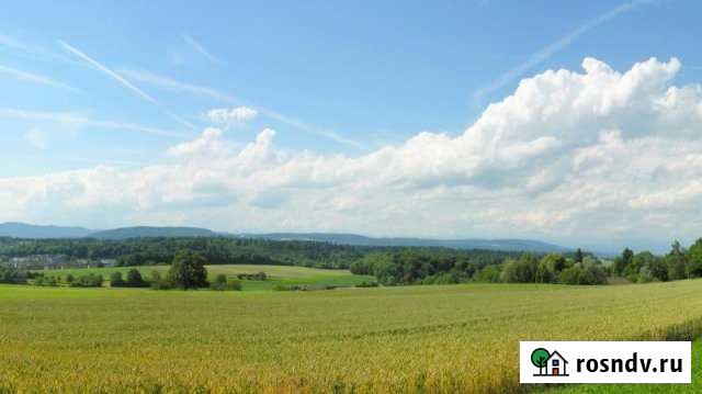 Участок СНТ, ДНП 350 сот. на продажу в Краснокамске Краснокамск - изображение 1