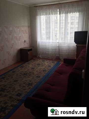 1-комнатная квартира, 29 м², 5/9 эт. в аренду на длительный срок в Заринске Заринск - изображение 1