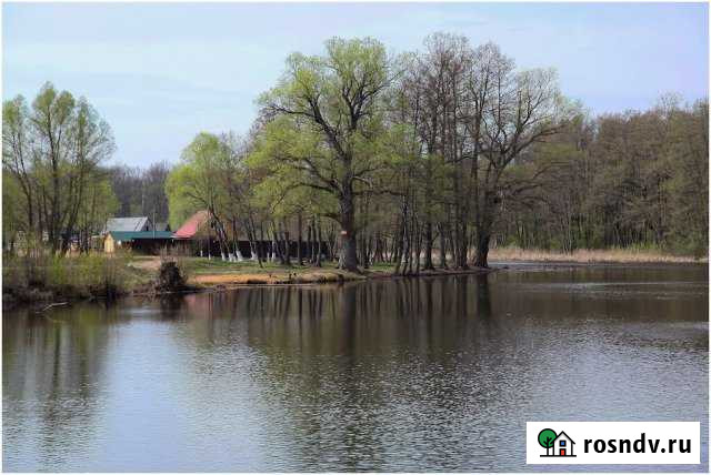 Участок ИЖС 12 сот. на продажу в Сосновке Тамбовской области Сосновка - изображение 1