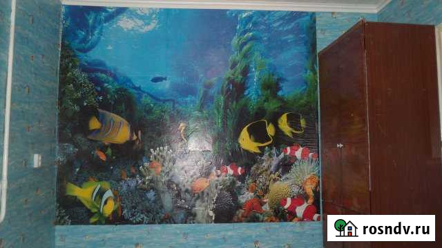 1-комнатная квартира, 17 м², 2/5 эт. в аренду на длительный срок в Кургане Курган - изображение 1