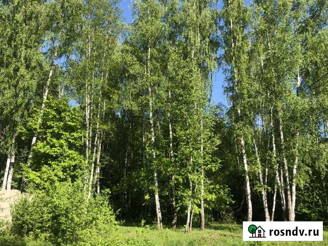 Участок ИЖС 30 сот. на продажу в Любучанах Любучаны - изображение 1