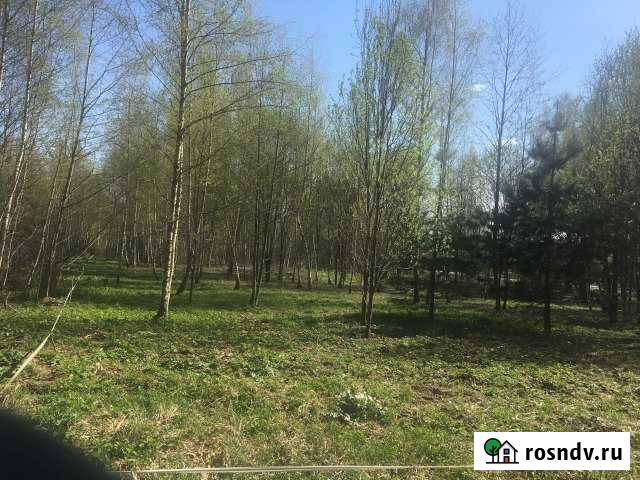 Участок ИЖС 20 сот. на продажу в Рузе Руза - изображение 1