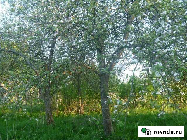 Дом 60 м² на участке 50 сот. на продажу в Себеже Себеж - изображение 1