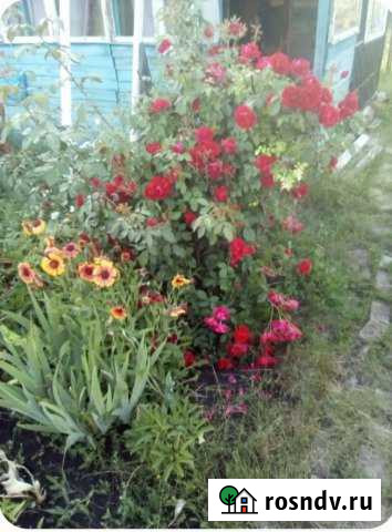 Дача 20 м² на участке 10 сот. на продажу в Хохольском Хохольский - изображение 1