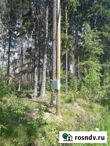 Участок ИЖС 12 сот. на продажу в Рощино Ленинградской области Рощино - изображение 1