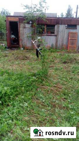 Дача 20 м² на участке 6 сот. на продажу в Шатурторфе Шатурторф - изображение 1