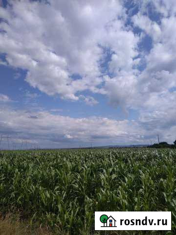 Участок СНТ, ДНП 5400 сот. на продажу в Азовской Азовская - изображение 1