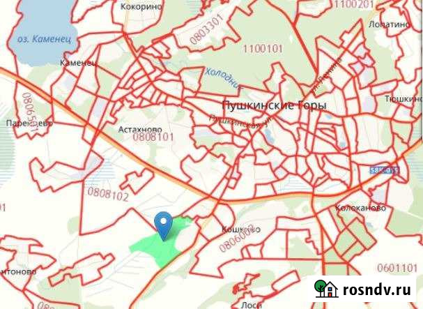 Участок СНТ, ДНП 2530 сот. на продажу в Пушкинских Горах Пушкинские Горы - изображение 1