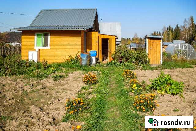 Участок СНТ, ДНП 4 сот. на продажу в Мурыгино Мурыгино - изображение 1