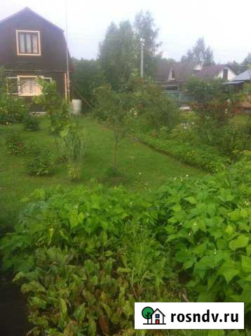 Участок СНТ, ДНП 8 сот. на продажу в Черноголовке Черноголовка - изображение 1