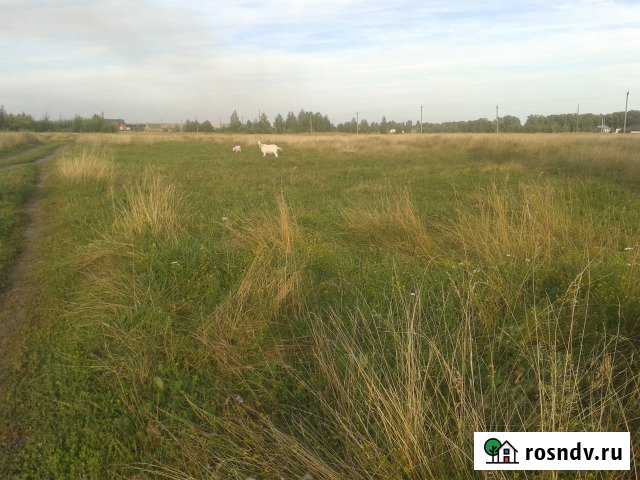 Участок ИЖС 12 сот. на продажу в Первомайском Тамбовской области Первомайский - изображение 1