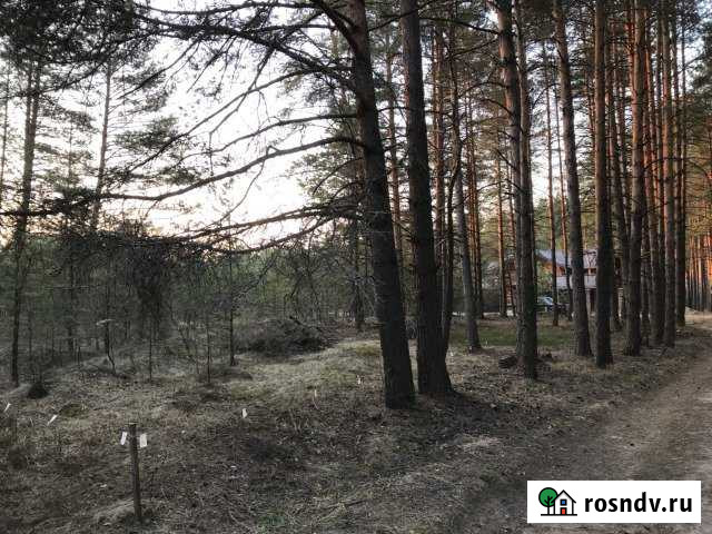 Участок ИЖС 16 сот. на продажу в Ногинске Ногинск - изображение 1