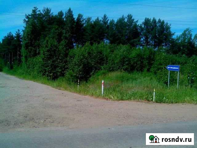 Участок ИЖС 10 сот. на продажу в Сосновом Бору Сосновый Бор - изображение 1