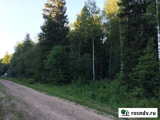 Участок СНТ, ДНП 12 сот. на продажу в Вербилках Вербилки - изображение 1