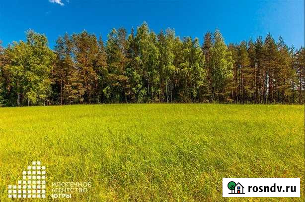 Участок СНТ, ДНП 1000 сот. на продажу в Ханты-Мансийске Ханты-Мансийск - изображение 1