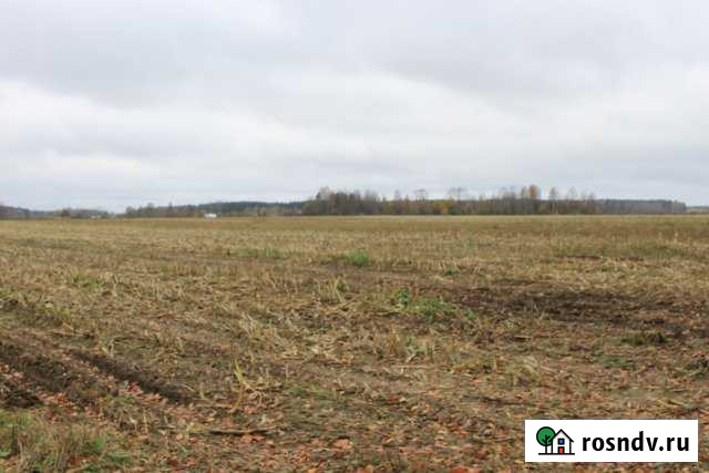 Участок СНТ, ДНП 41500 сот. на продажу в Красной Горбатке Красная Горбатка - изображение 1