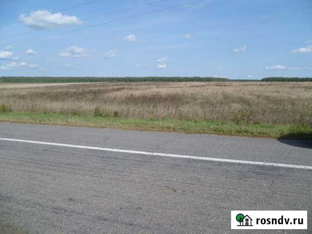 Участок СНТ, ДНП 150000 сот. в аренду в Кашире Кашира - изображение 1