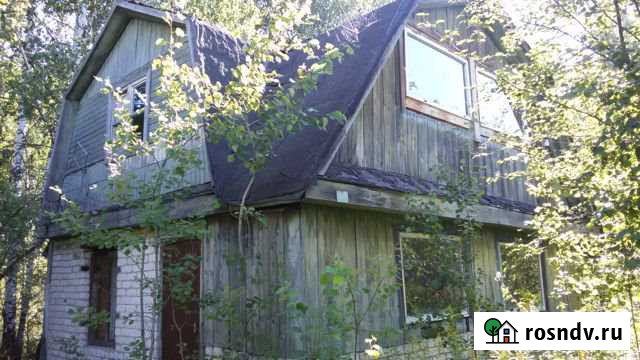 Дача 53 м² на участке 11 сот. на продажу в Бору Бор - изображение 1