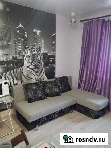 Своб. планировка, 27 кв.м., 6/7 эт. Абакан - изображение 1