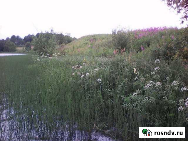 Участок СНТ, ДНП 20 сот. на продажу в Пряже Пряжа - изображение 1