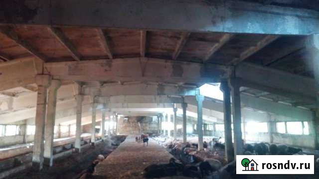 Ферма Александров - изображение 1