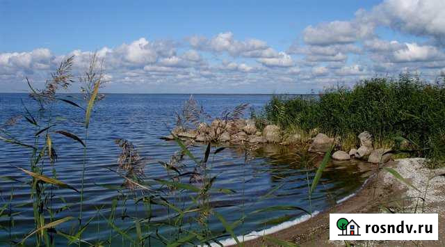 Участок ИЖС 10 сот. на продажу в Гдове Гдов - изображение 1