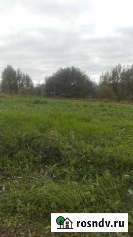 Участок ИЖС 20 сот. на продажу в Выльгорте Выльгорт - изображение 1