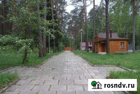 База отдыха в сосновом Бору, 50000 кв.м. Алексин - изображение 1