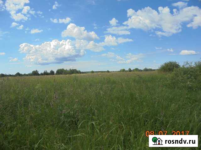 Участок СНТ, ДНП 9999 сот. на продажу в Пскове Псков - изображение 1