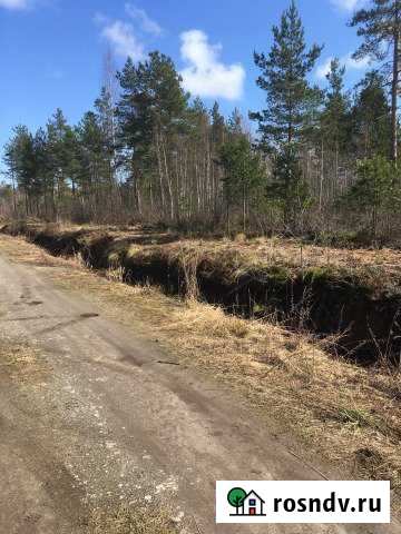Участок СНТ, ДНП 10 сот. в аренду в Рахье Рахья - изображение 1