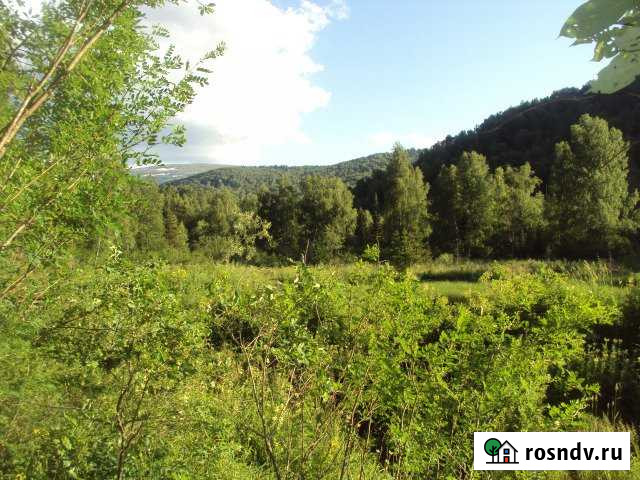 Участок СНТ, ДНП 250 сот. на продажу в Чарышском Чарышское - изображение 1