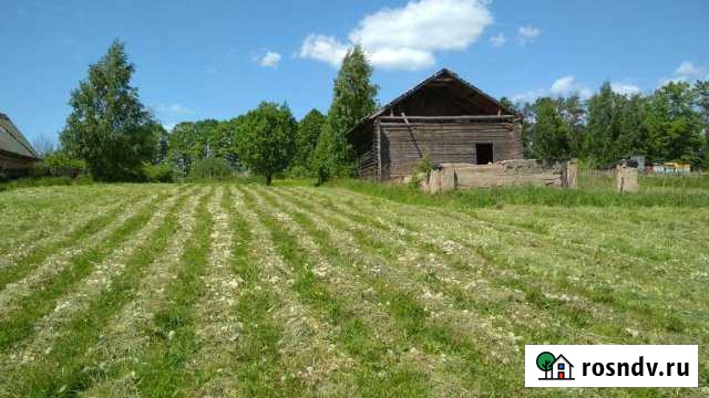 Участок ИЖС 40 сот. на продажу в Зубцове Зубцов - изображение 1
