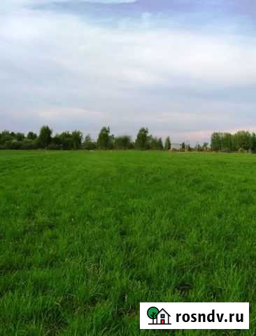 Участок ИЖС 10 сот. на продажу в Некрасовском Ярославской области Некрасовское - изображение 1