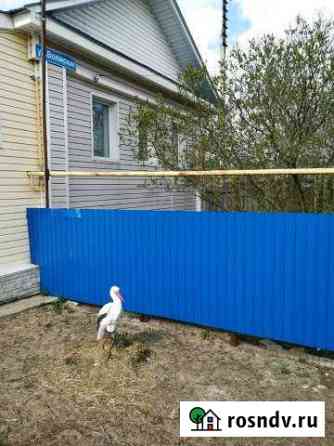 Дом 60 м² на участке 10 сот. на продажу в Дзержинске Дзержинск
