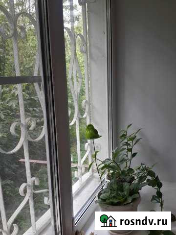 1-комнатная квартира, 30 м², 1/5 эт. на продажу в Кимрах Кимры - изображение 1