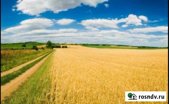 Участок СНТ, ДНП 1100 сот. на продажу в Чапаевске Чапаевск - изображение 1