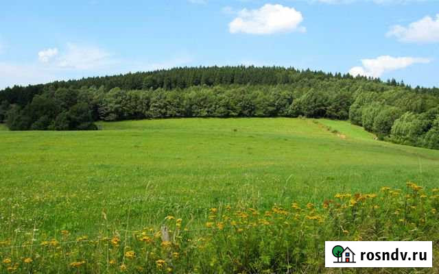 Участок ИЖС 1200 сот. на продажу в Нижней Тавде Нижняя Тавда - изображение 1